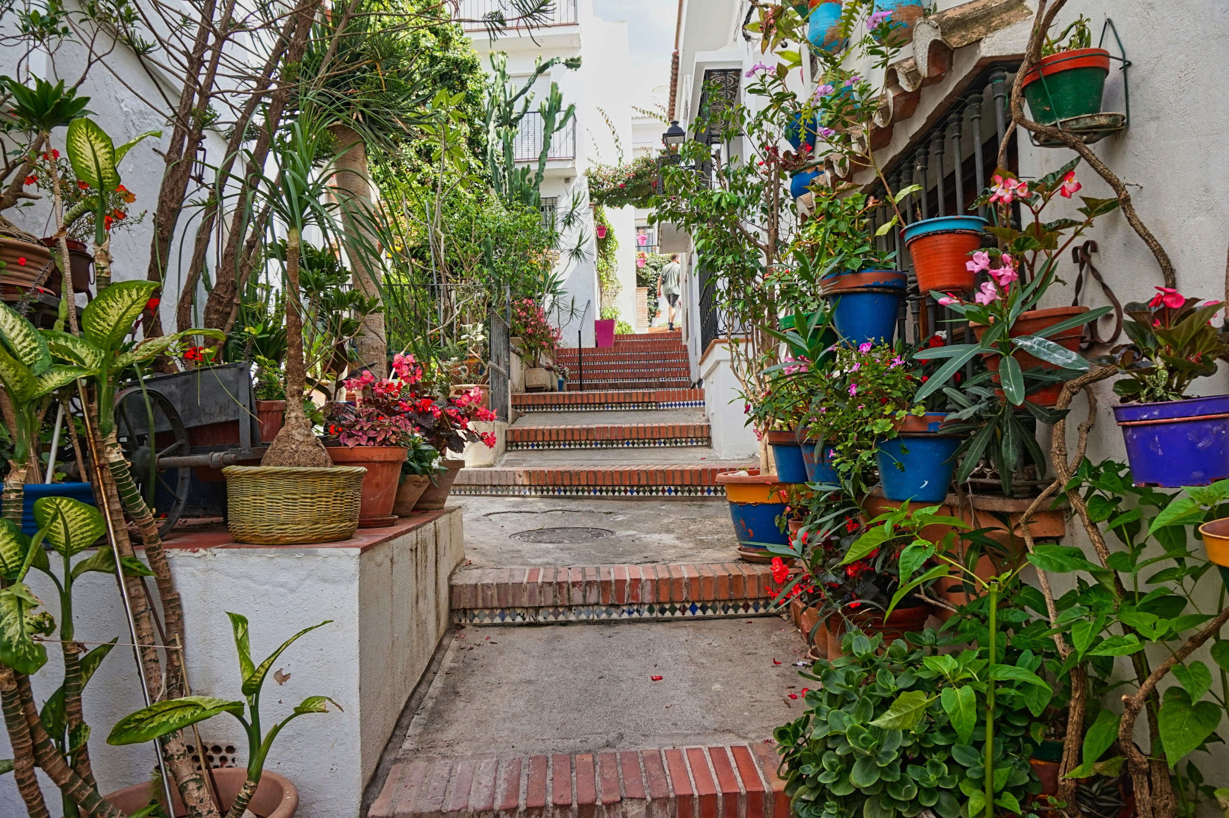 Estepona Hiszpania Andaluzja Costa del sol